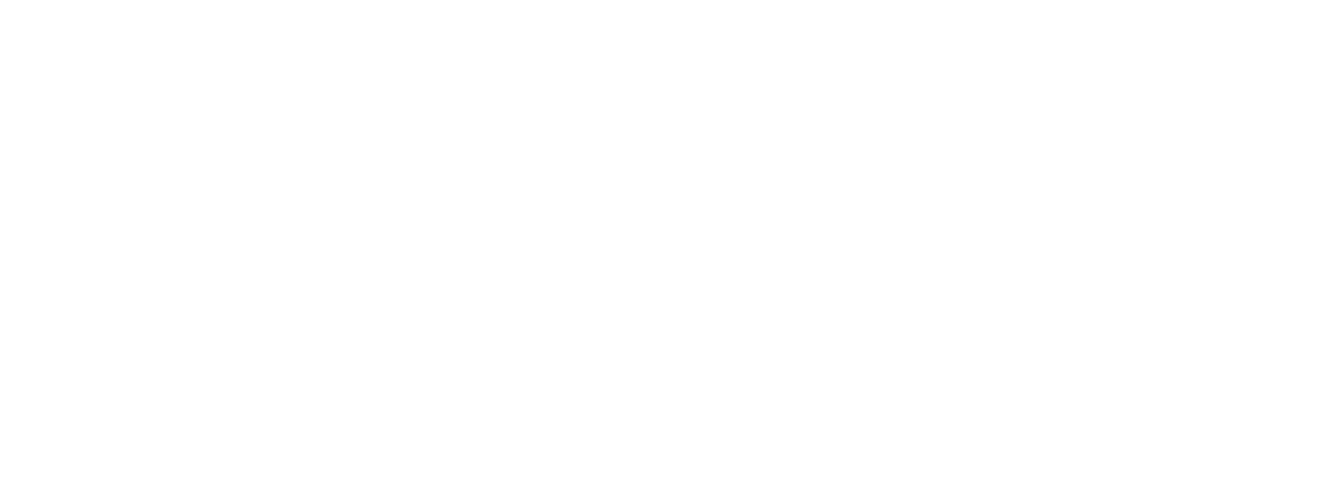 AniVet Clínica Veterinária