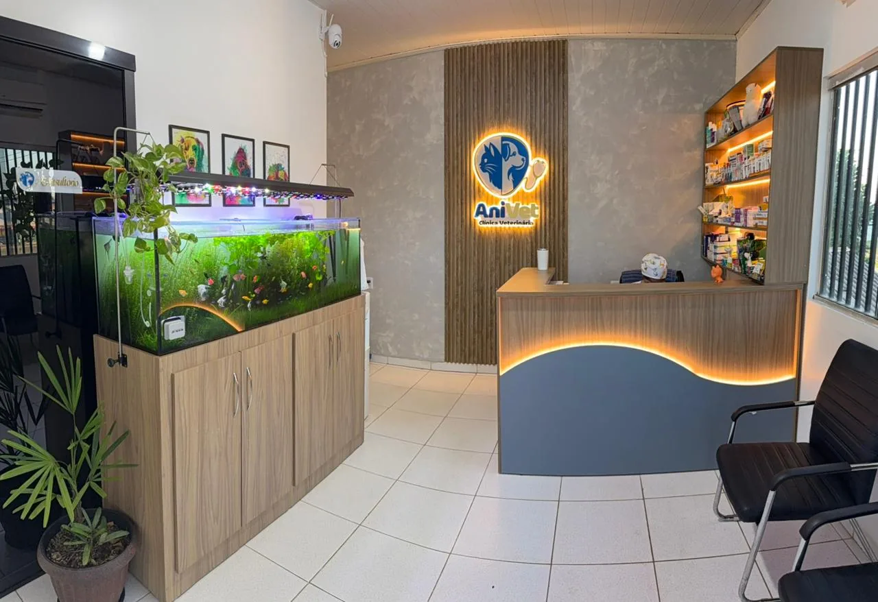 Recepção da AniVet Clínica Veterinária, em Epitaciolândia